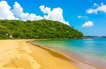 Cultural performances